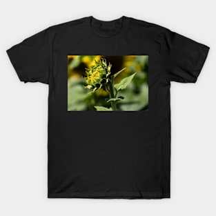 Sunflower Awakening T-Shirt